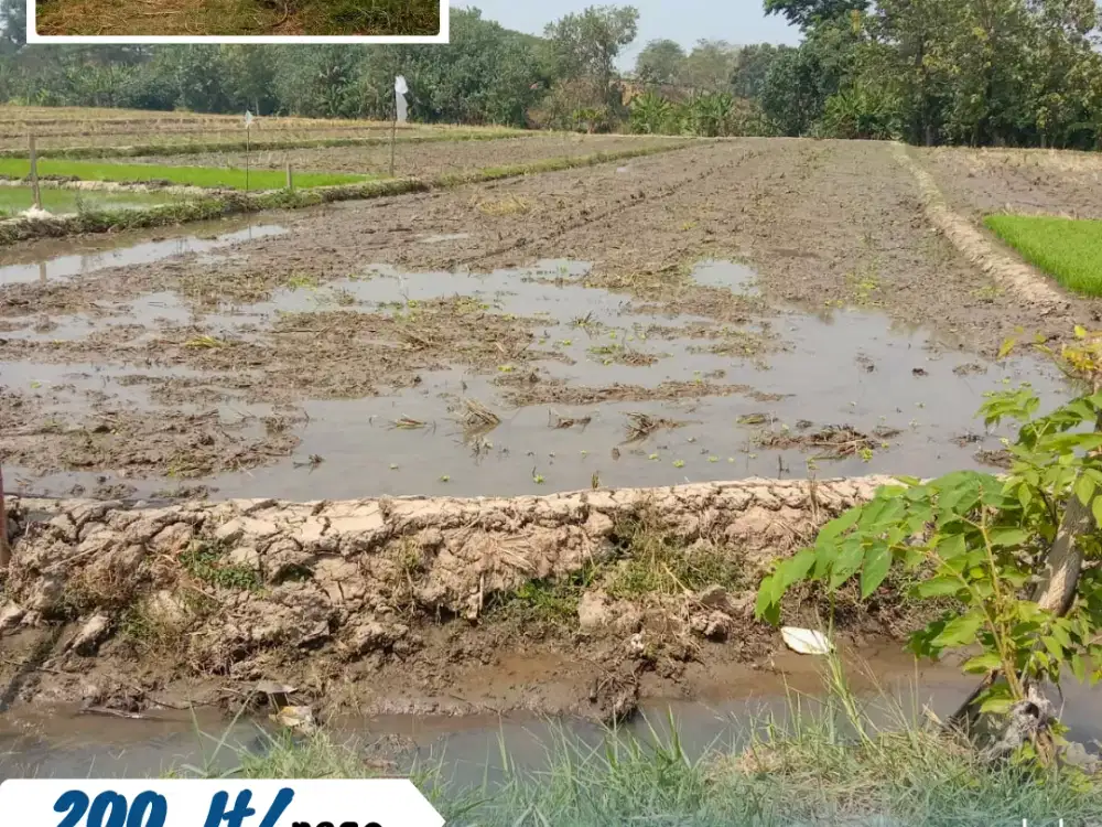 DIJUAL SAWAH PRODUKTIF – KEBAK, KEBAKKRAMAT