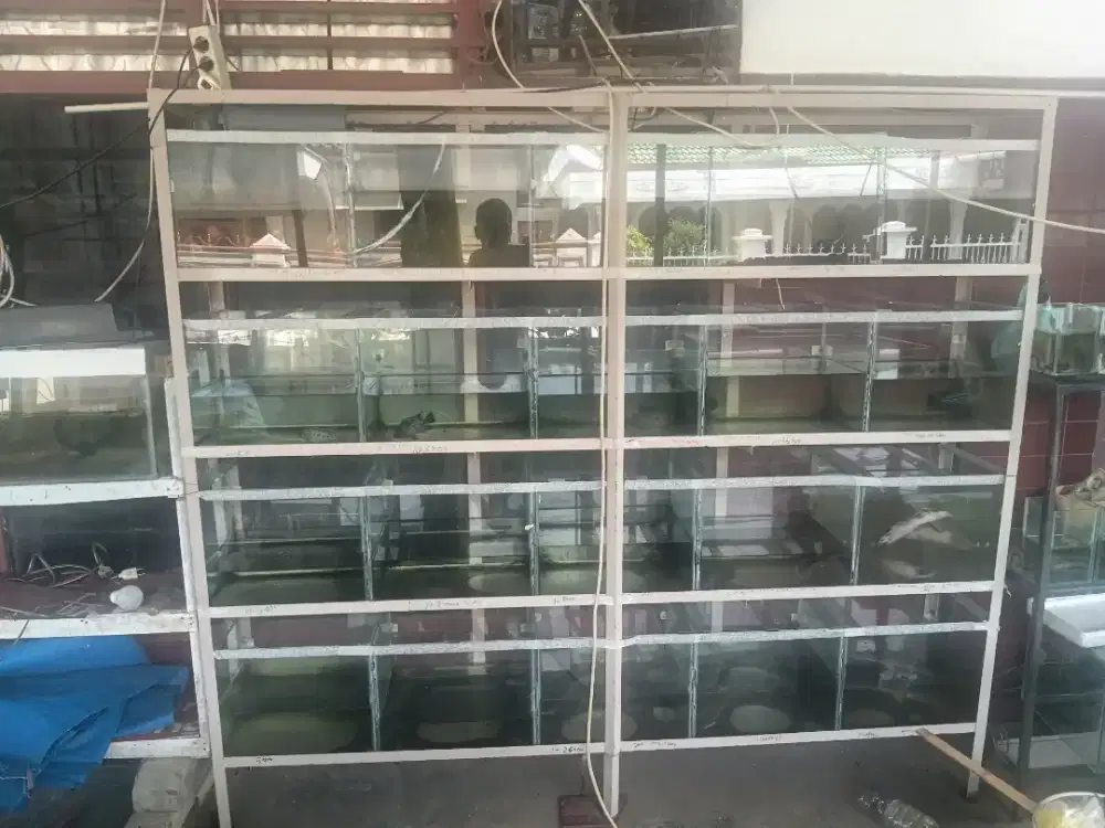 Jual Aquarium Ikan