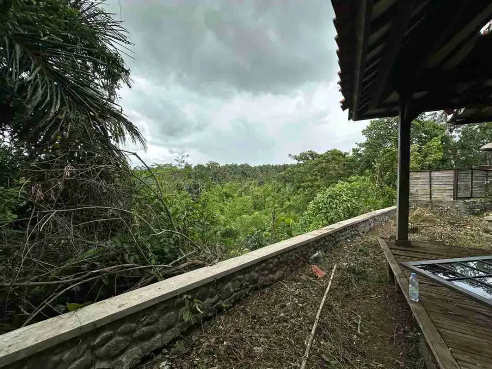TANAH PREMIUM ZONA PARIWISATA SAYAN UBUD BERSEBELAHAN DENGAN KAYUMANIS VIEW HUTAN DAN SUNGAI
