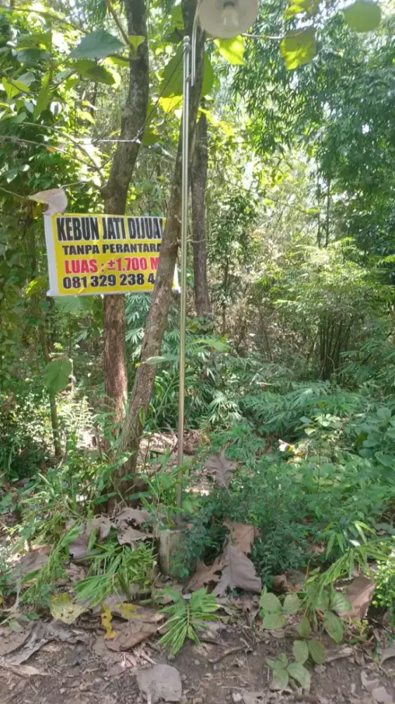 Jual Cepat Tanah + Pohon jati