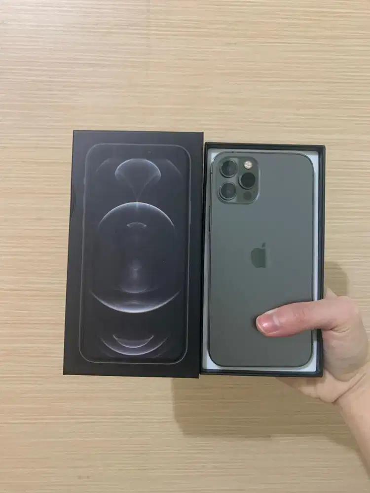 iPhone 12 Pro Graphite 512gb No Minus Normal Semua