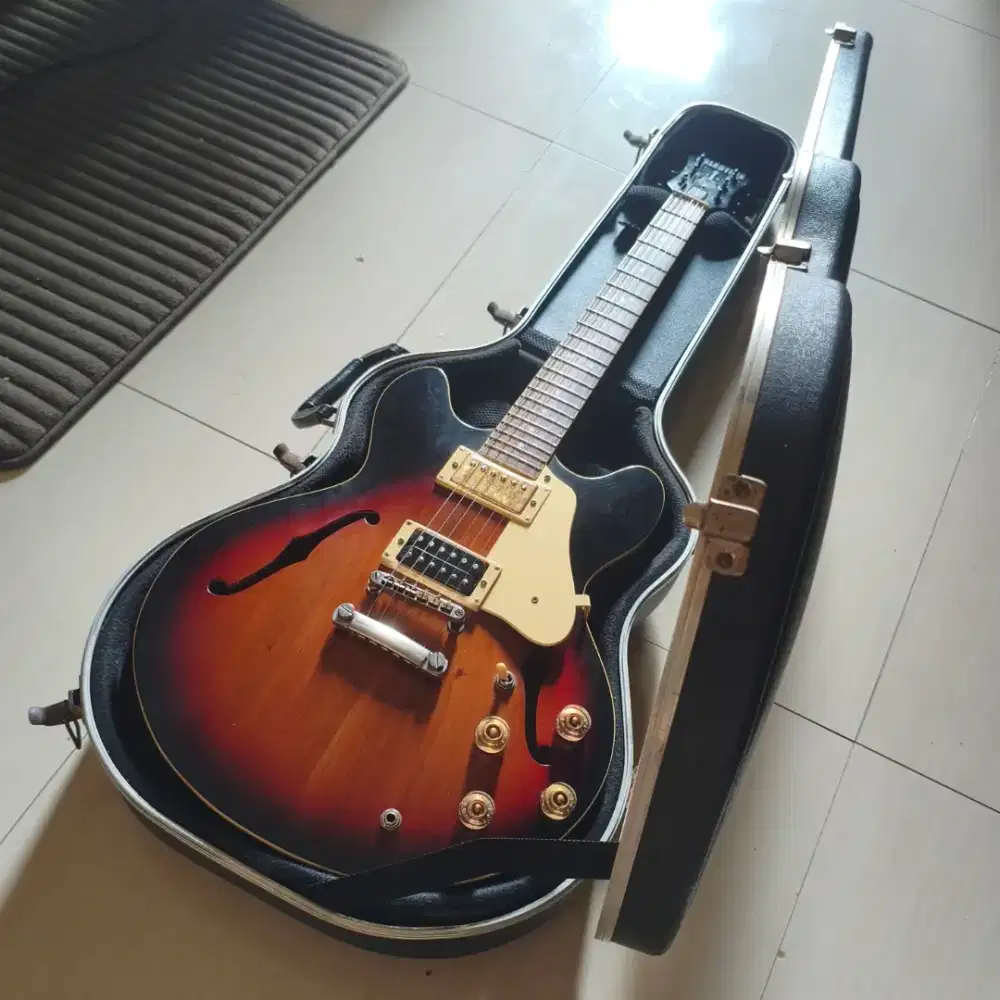 NEGO Gitar CUSTOM ES335 Epiphone + Hard Case + Gig Bag FULL HOLLOWBODY