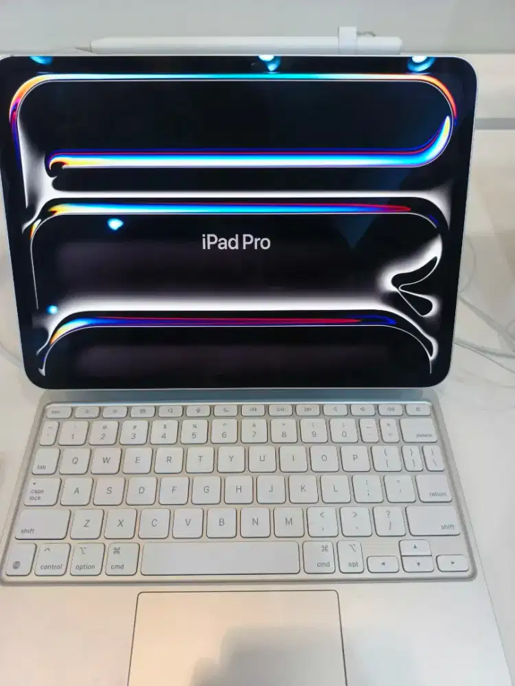 iPad Pro 11 inci