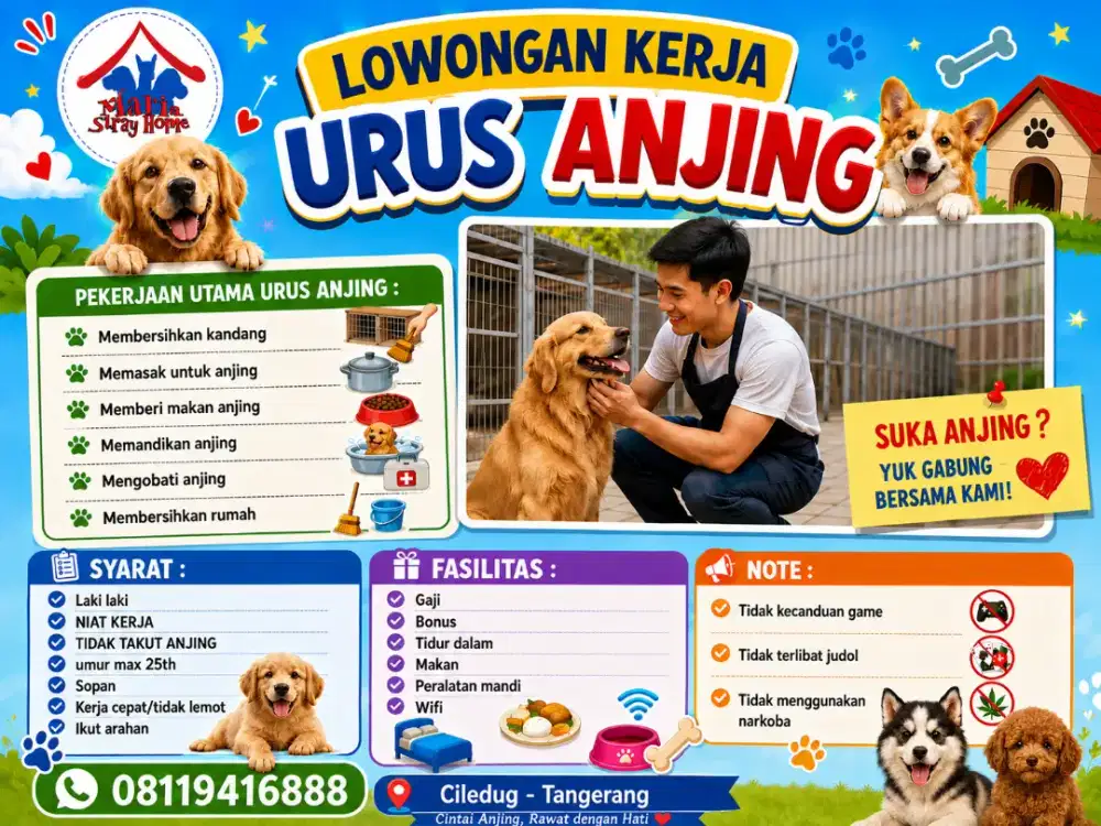 Lowongan Kerja urus anjing