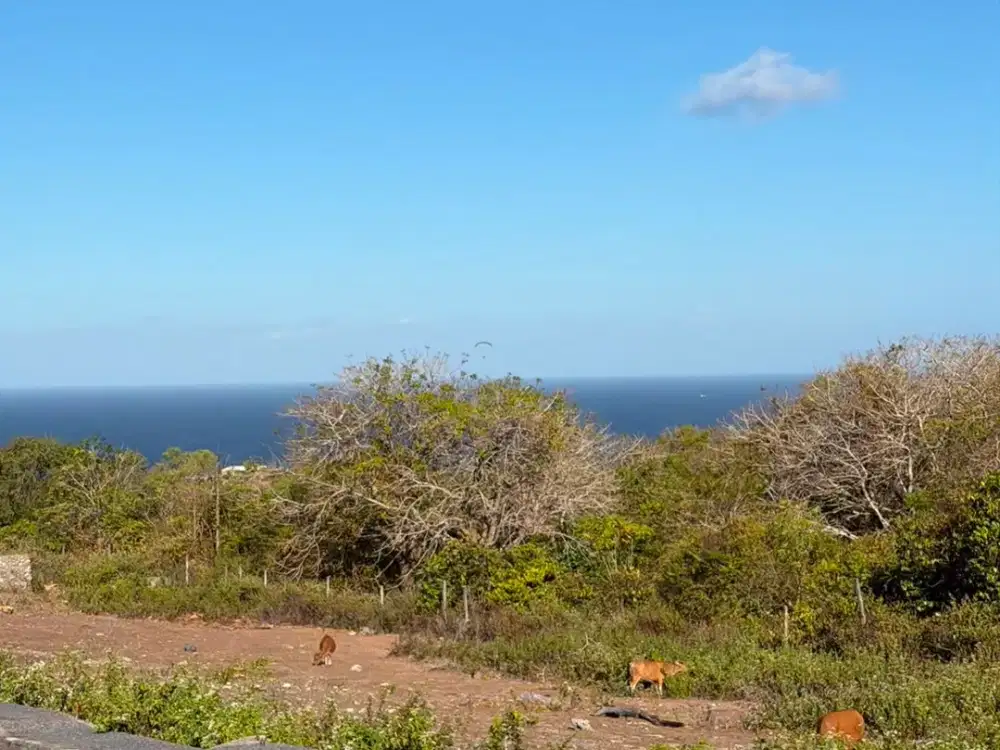 Termurah Dijual Tanah Nusa Dua Bali dengan Pemandangan Laut Siap Bangun Rumah