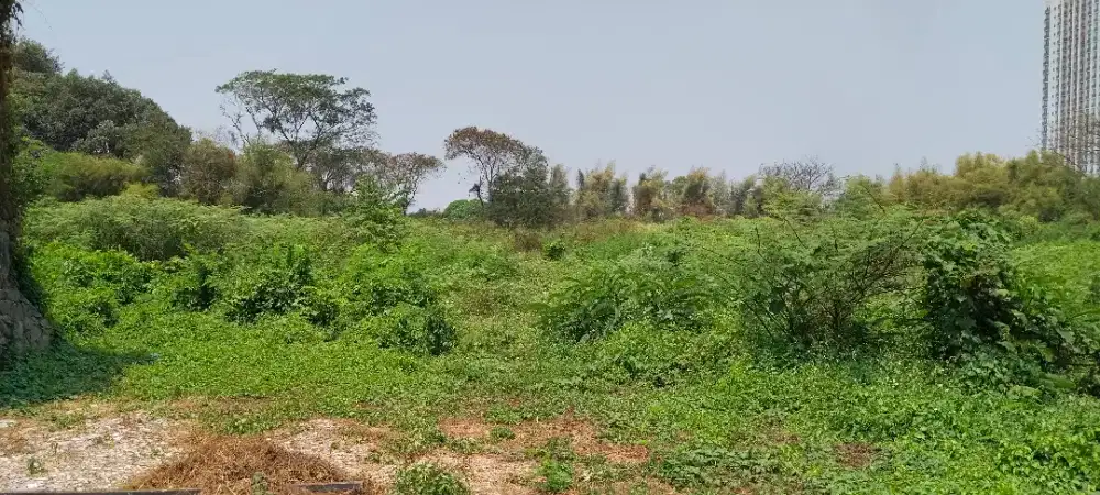 DI JUAL TANAH LT10200 DI JLN RAYA JABABEKA TEGAL GEDE CIKARANG SELATAN