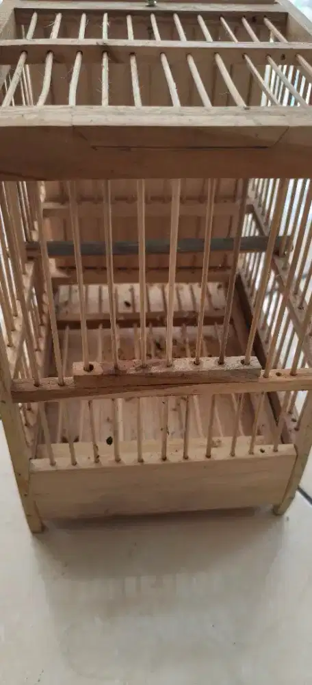Kandang prenjak