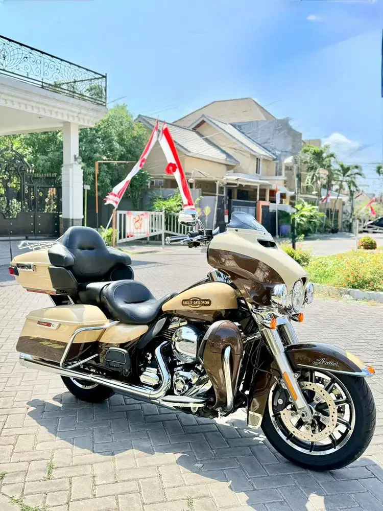 Harley Davidson Ultra Limited Rushmore Rare Colour Original