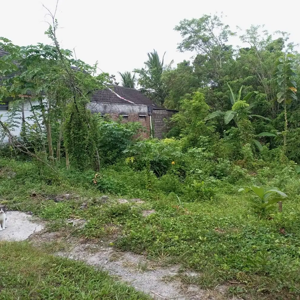 DIJUAL TANAH 569m² DI PERUMAHAN BALECATUR ASRI - AKSES MOBIL