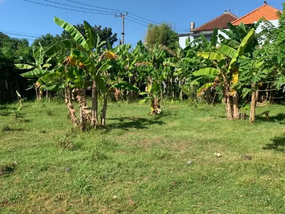 TANAH KAVLING DI GOA GONG UNGASAN BADUNG