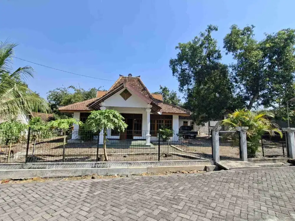 Jual Cepat Rumah Luas Bonus Perabotan Kedungrejo, Saradan Madiun