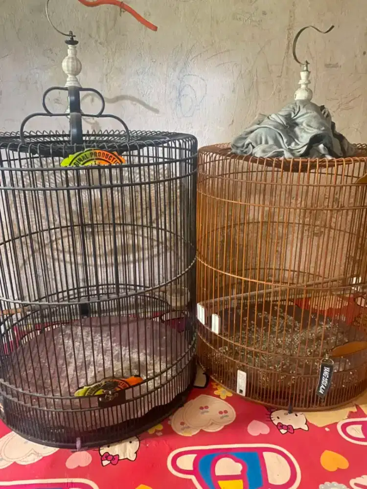 Jual kandang muraii