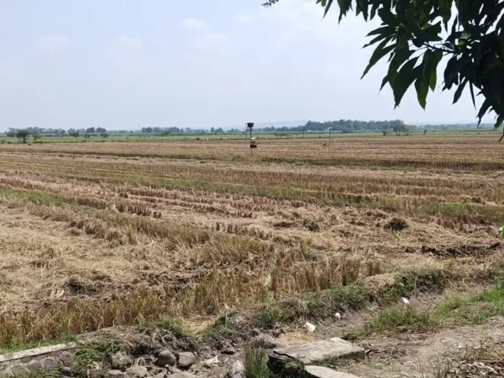 EMA434 Dijual Tanah Super Besar Murah SHM Strategis di Gedeg Mojokerto