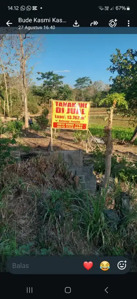Tanah pinggir jalan