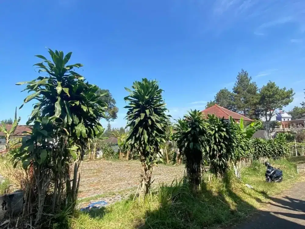 Dijual Cepat Kavling di villa istana bunga harga di bawah pasar