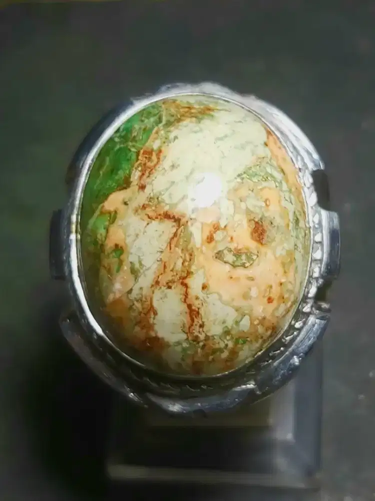 Pirus Nevada
- Ring Monel 8