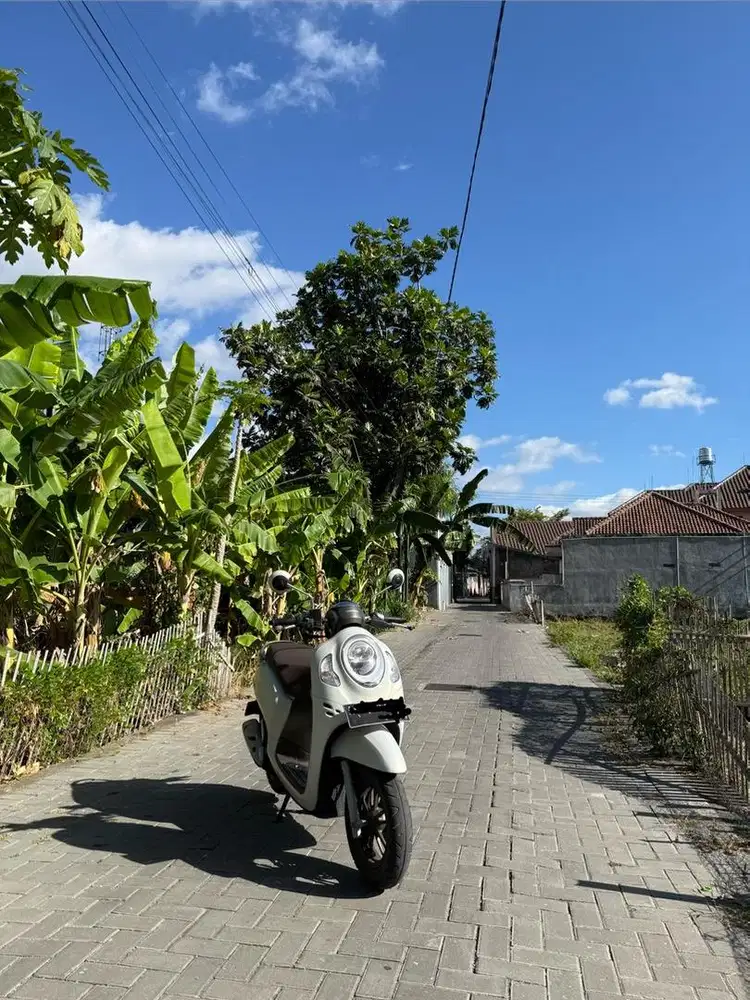 Scoopy prestige