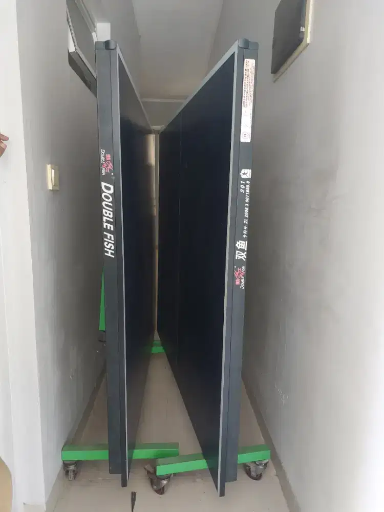 MEJA PINGPONG DOUBLE FISH 201