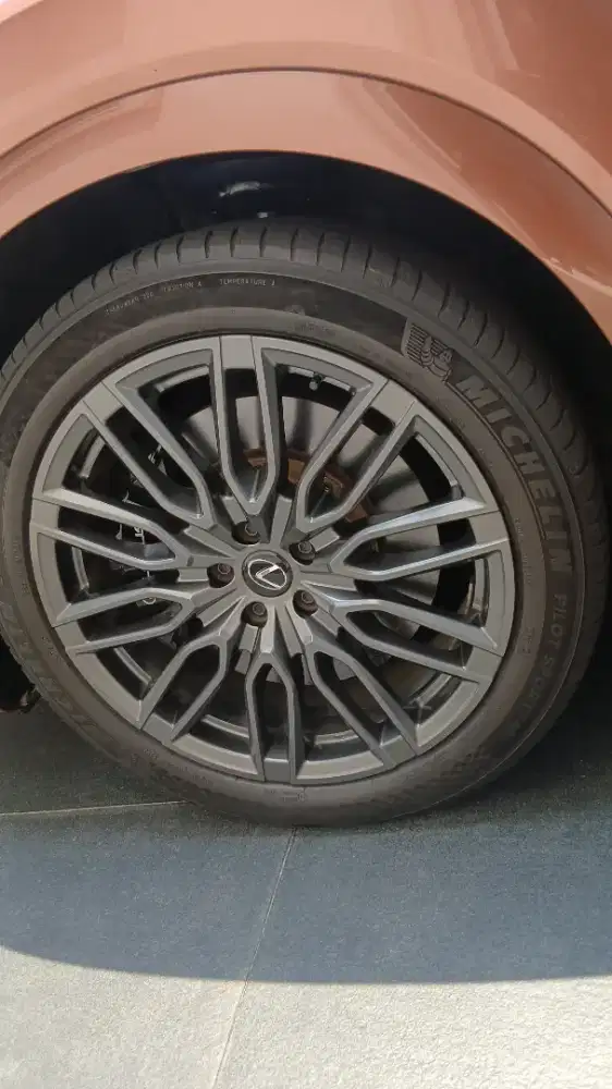 BAN MICHELIN PILOT SPORT R21