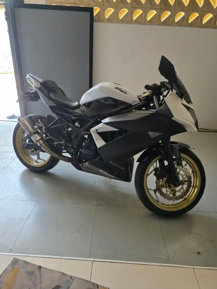 Ninja 250 fi Mono 2014