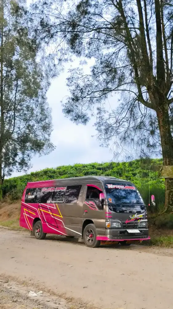ISUZU ELF MICROBUS 2011