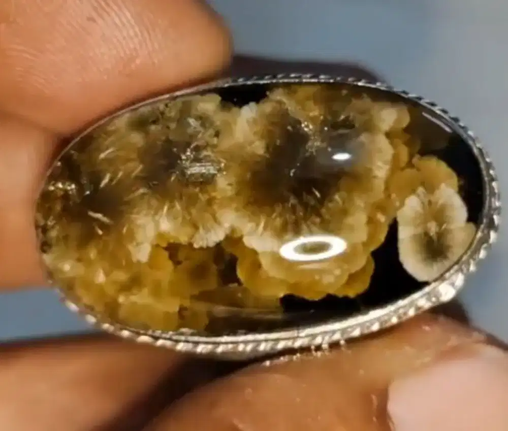 Natural  Basaltic Glass  / Bulu Macan Lumajang
