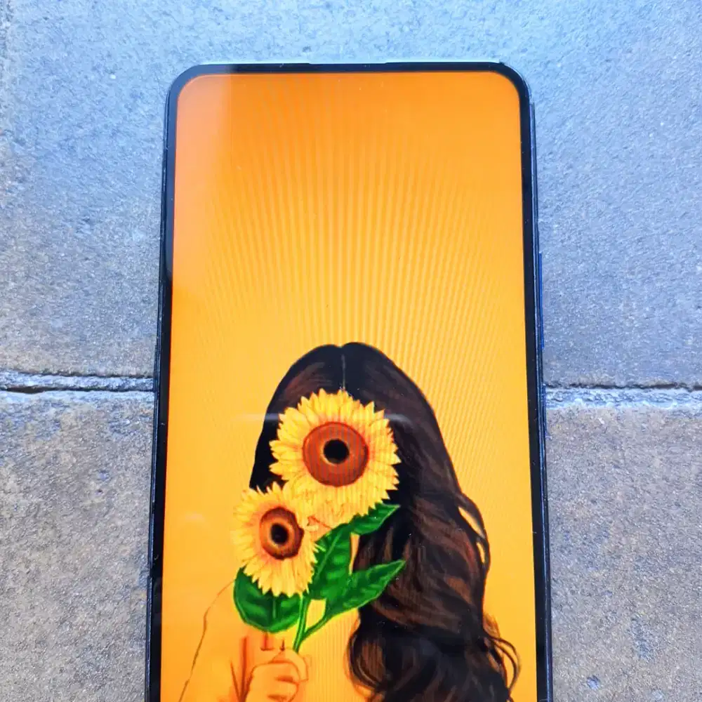 vivo v15 6 / 64