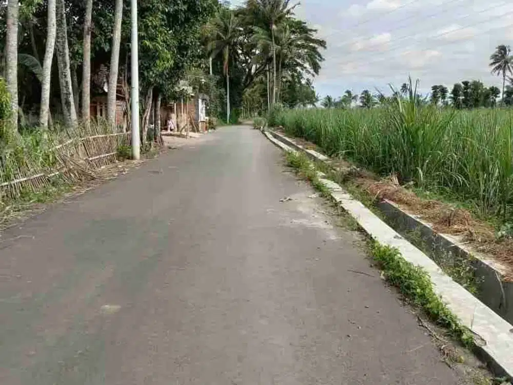 Tanah Poros Pakis Sumberkradenan Malang