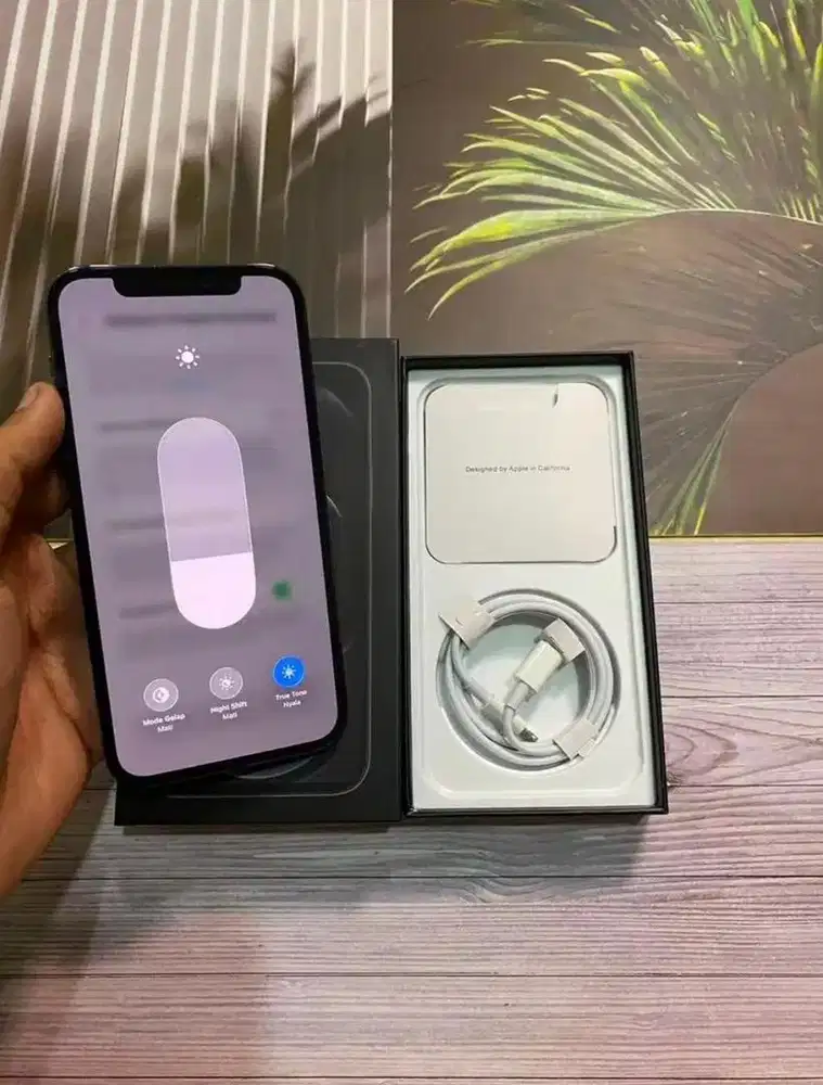 Iphone 12 pro 266 gb