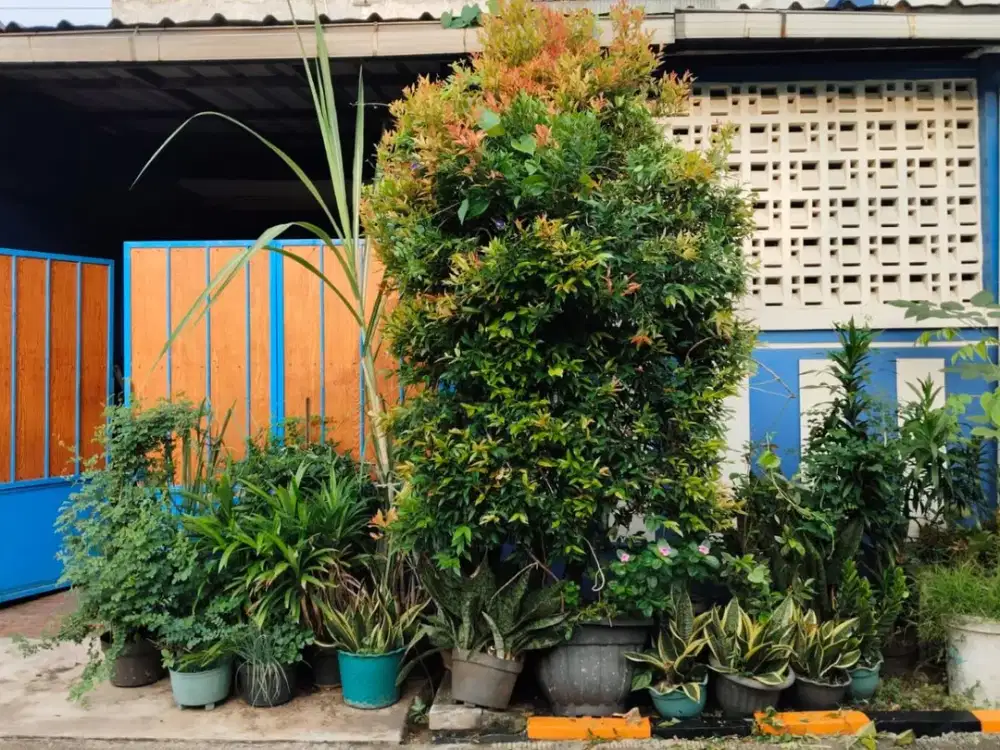 Jual rumah cantik di Taman harapan baru dekat plaza superindo THB (D0529)