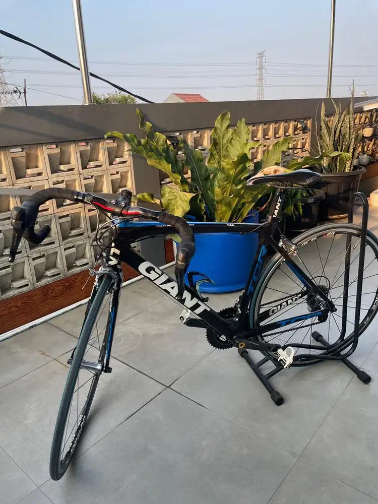Sepeda Balap Giant TCR Advanced