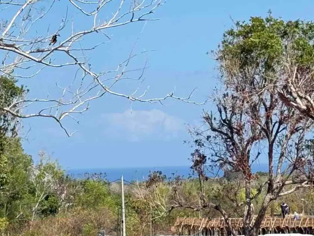 Dijual Tanah Ocean View 2,42 Hektar – Jl Ocean Blue, Kampial Nusa Dua Bali