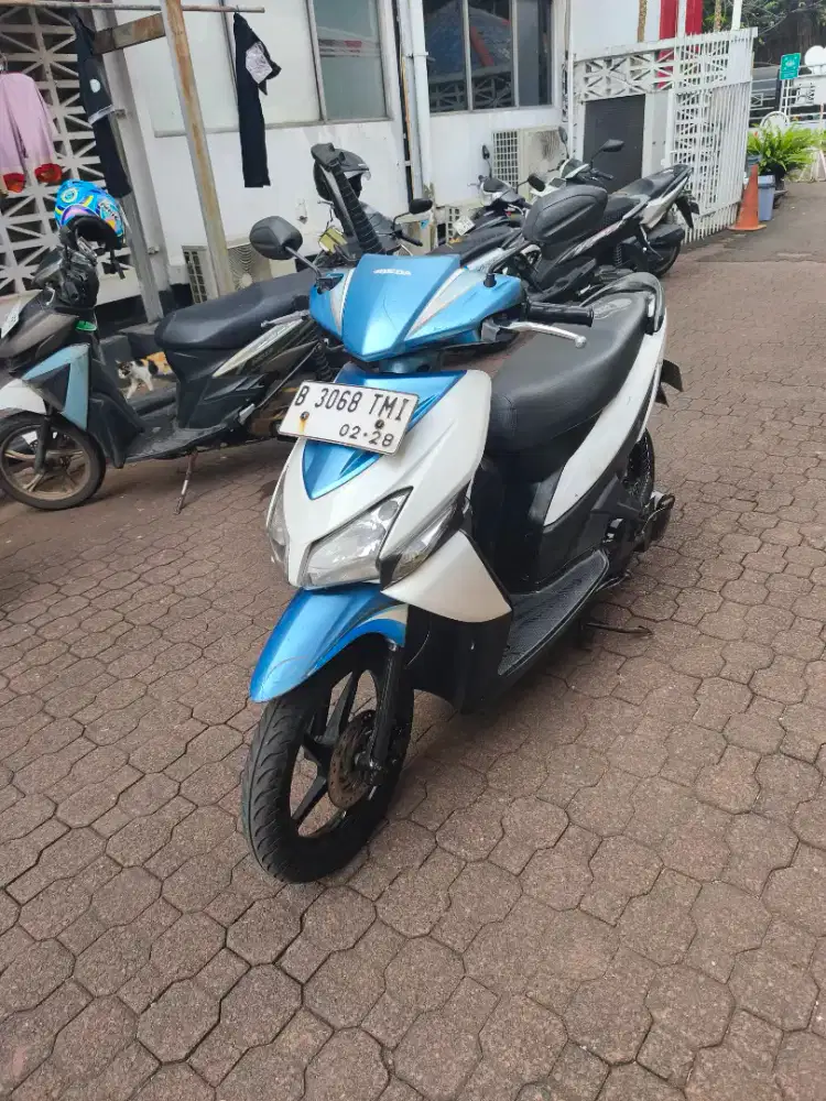 Vario 2013 , Nego Tipis