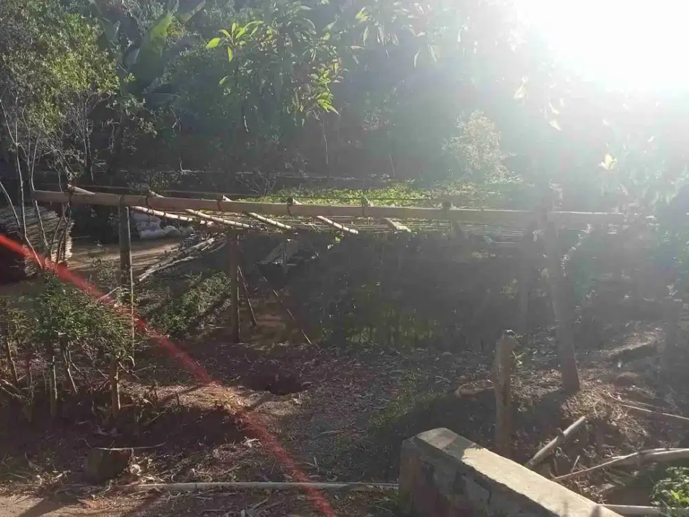 jual Tanah Kebun