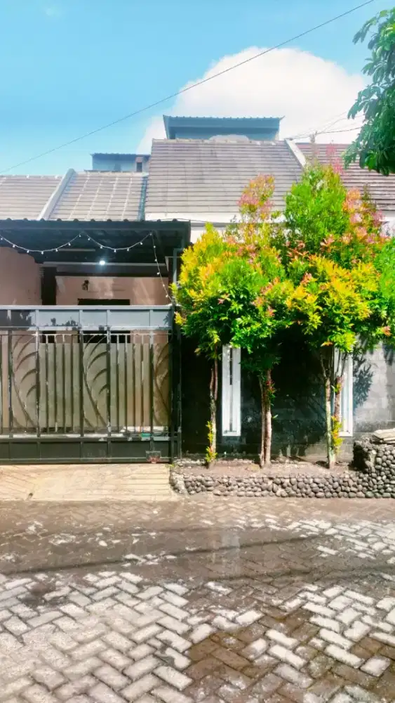 Dikontrakkan bisa 1 tahun saja