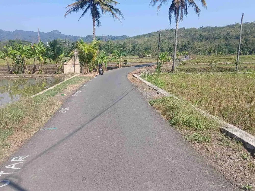 jual Tanah Sawah