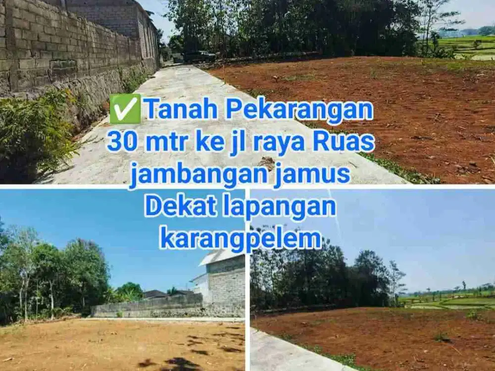 Tanah pekarangan Istimewa 30 meter ke jl raya jambangan