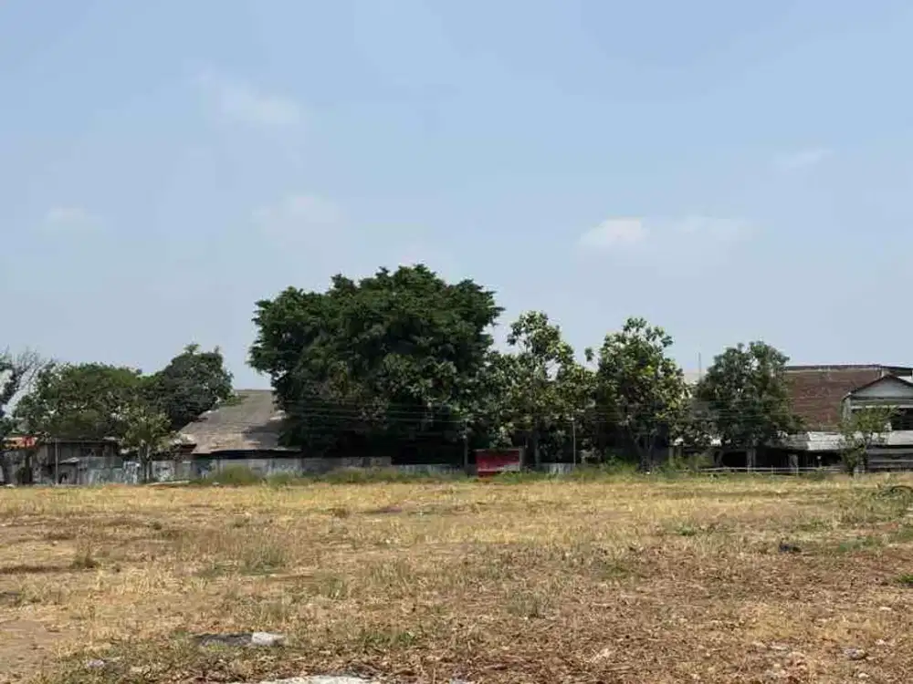 Disewakan GRATIS untuk lapangan padel di Semarang