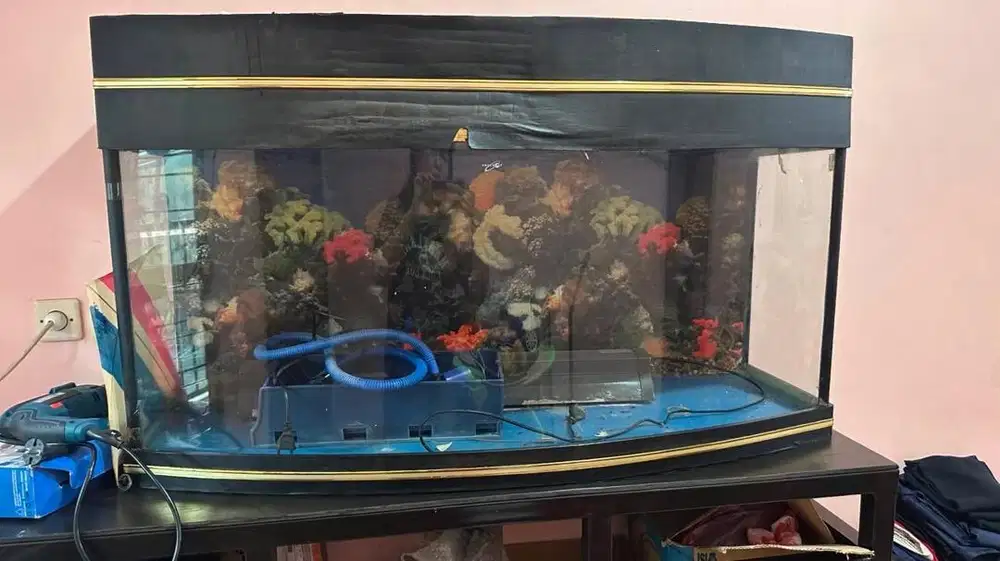 Aquarium P 120cm L 50cm