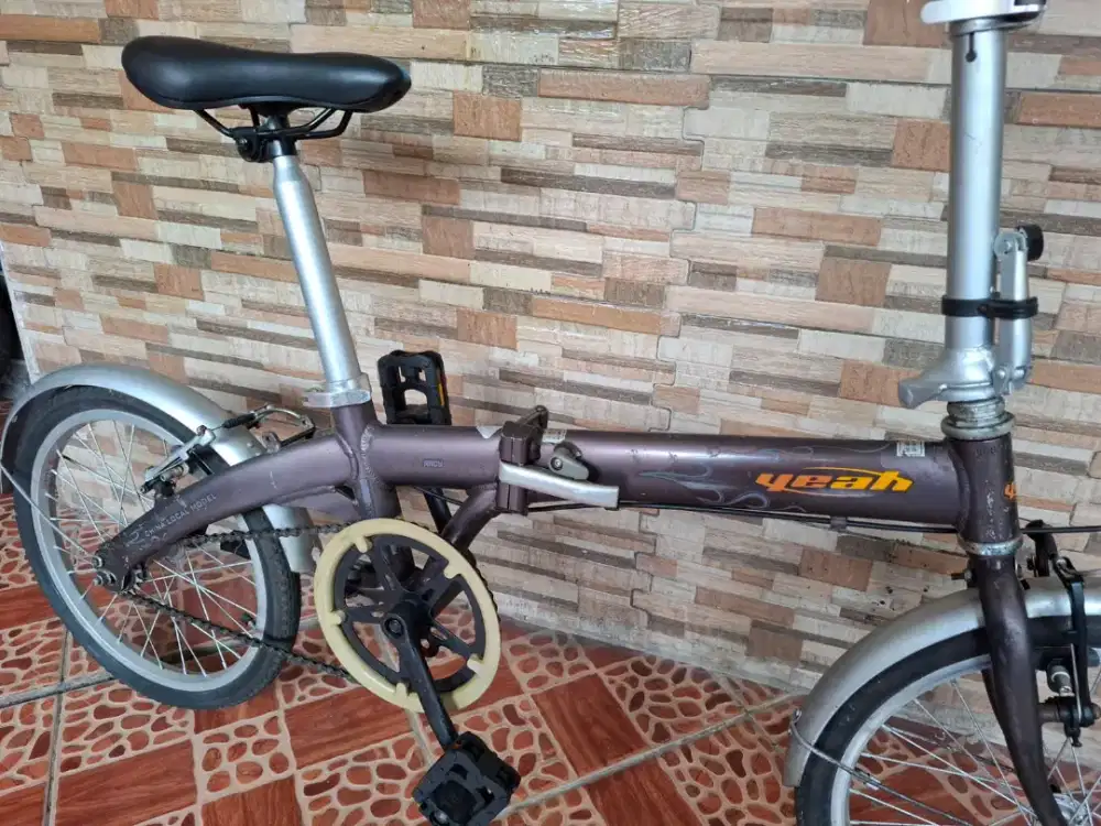 Dahon Yeah Racy 18