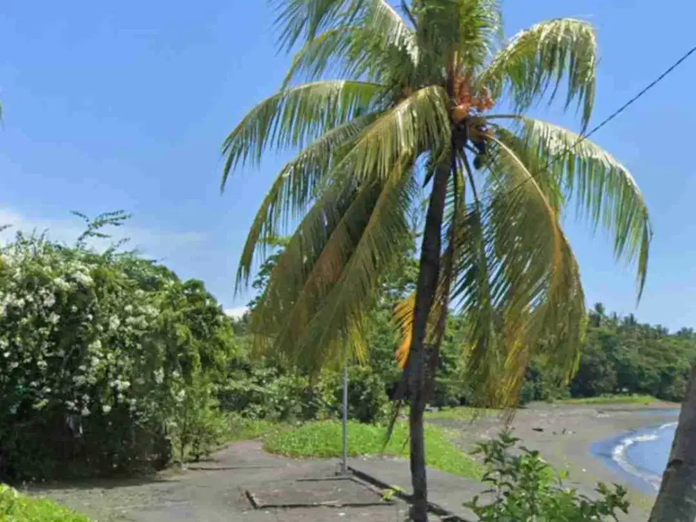 DIJUAL CEPAT TANAH CANTIK PINGGIR PANTAI, HARGA MURAH