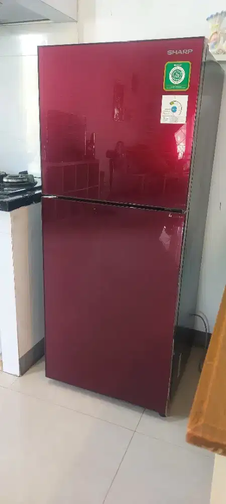 Kulkas sharp 2 pintu