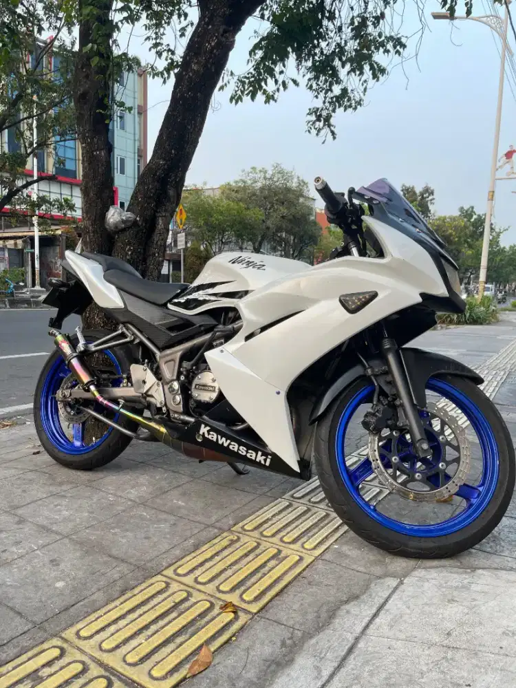 Ninja RR New SE