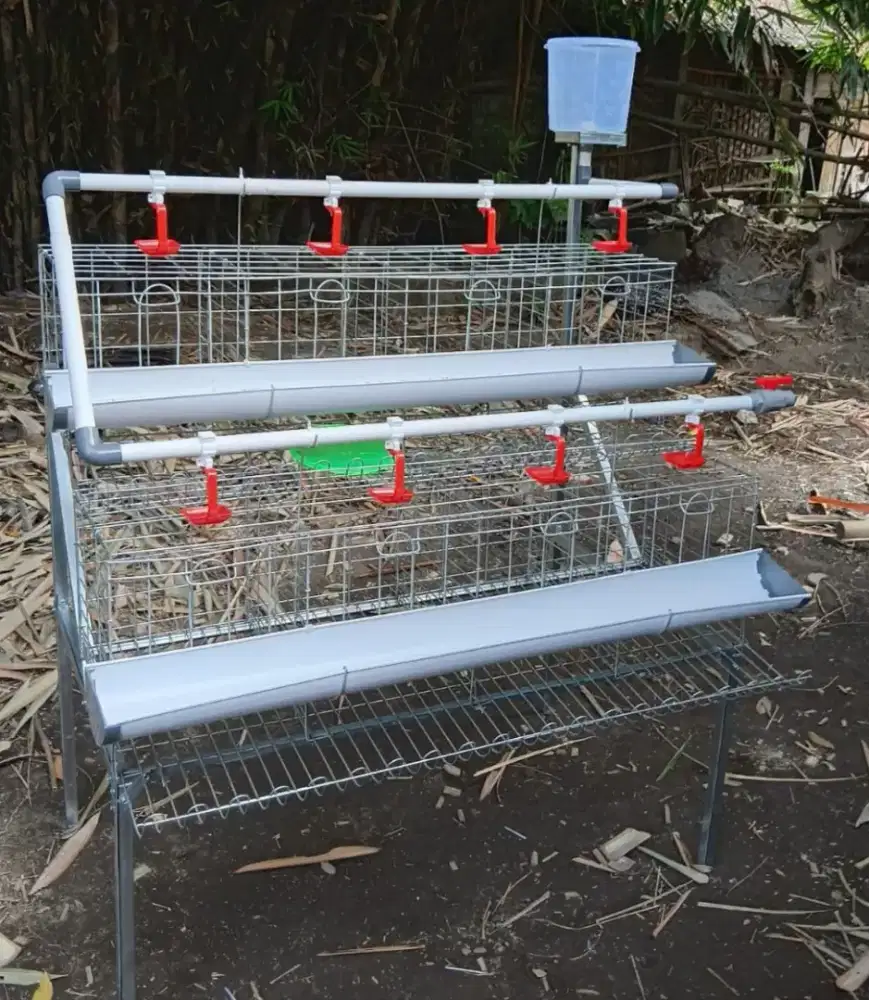 Kandang Ayam bahan galvanis