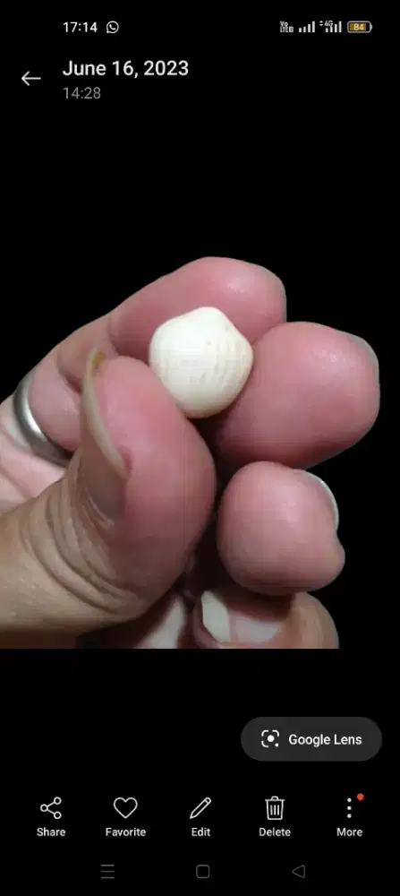 Batu Kelapa Putih Susu
