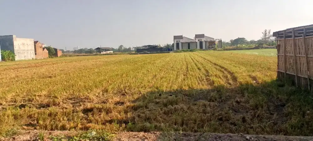 Dijual - Sawah Luas +/- 3009M²