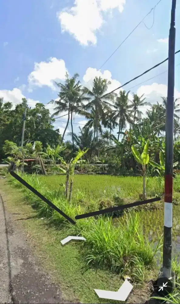 Di Jual tanah di karangasem Pesagi