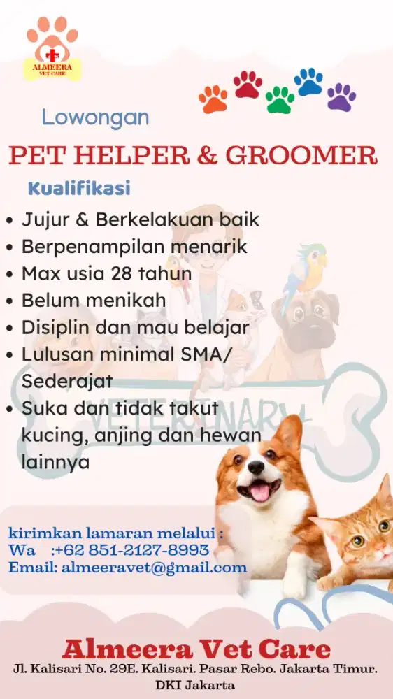 Groomer dan Pet Helper