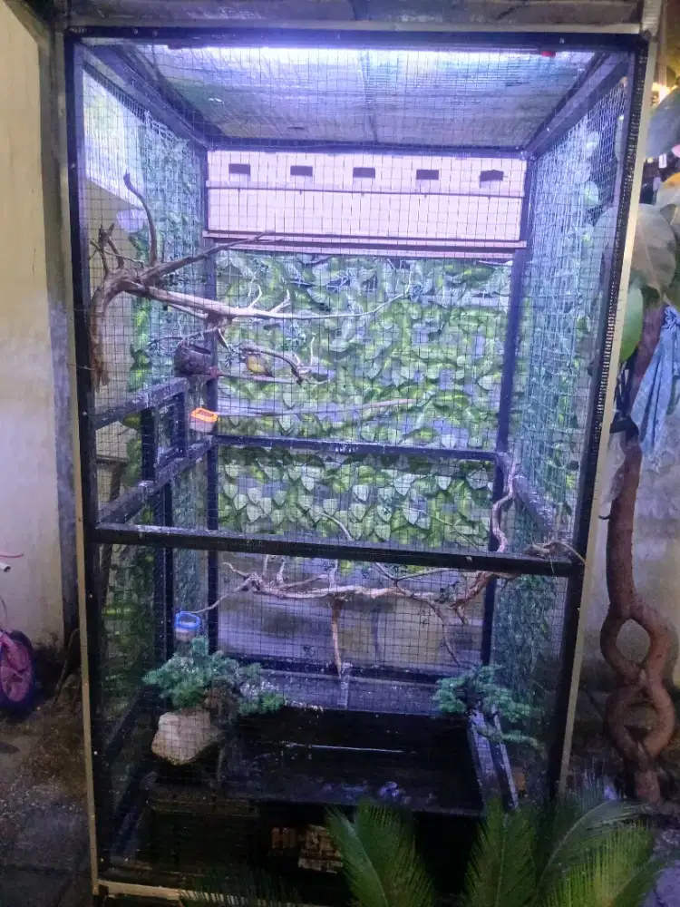 Aviari 80x200 , untuk koloni semua jenis burung lainya