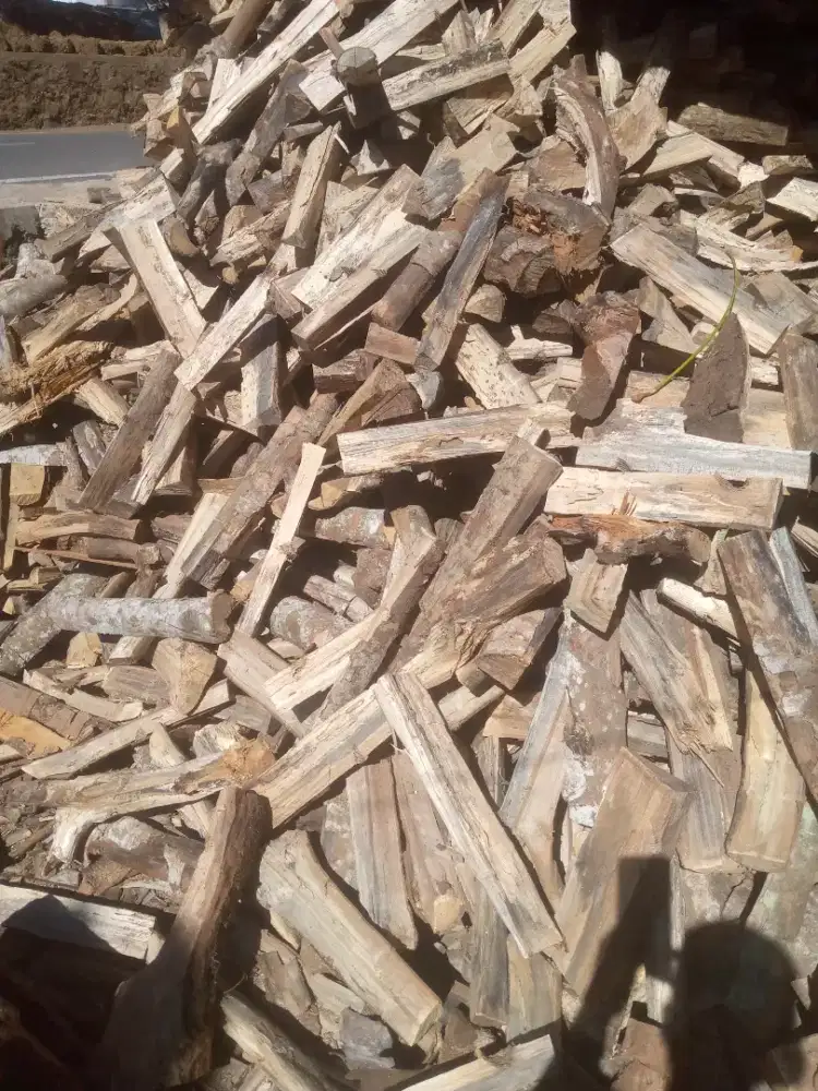 Kayu karet bakar